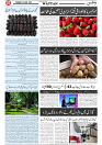 Wattan 03 April_7