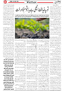 Wattan 30 May_2