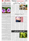 Wattan 11 nov_7